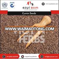 Excellent Quality Natural Delicious Taste Black Cumin Seeds