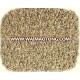 High Quality Ajwain Seed seed