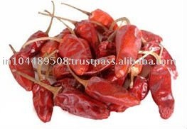 Capsicum Frutescens