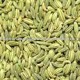 Fennel Seed