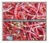 DRY FRESH HOT RED CHILLI