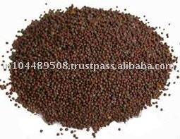 MUSTARD SEEDS