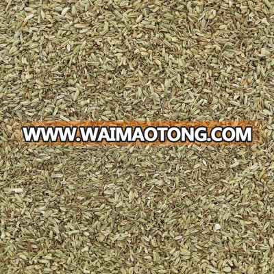 DRY GREEN FENNEL SEED. NEW CROP.