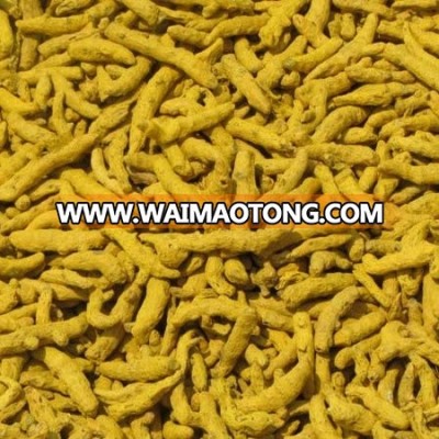 INDIAN TURMERIC FINGER GOOD QUALITY INDIAN ORIGIN